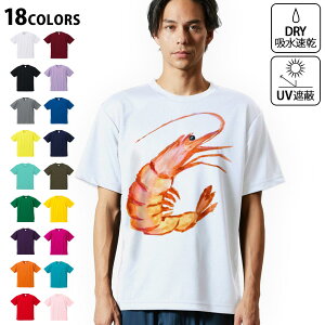 hCTVc Y z  DRY Iׂ18J[!  fUChCTVc X|[c  eB[Vc T shirt 026206 Gr@CV@