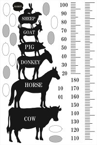 EH[XebJ[ gv t LO ڐ q  mg[ k 90×60cm V[   ǎ ͂  JbeBOV[g wall sticker G DIY v`tH[