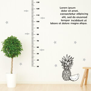 EH[XebJ[ gv LO ڐ q pCibv JtF ` k 90×60cm V[   ǎ ͂  JbeBOV[g wall sticker G DIY v`tH