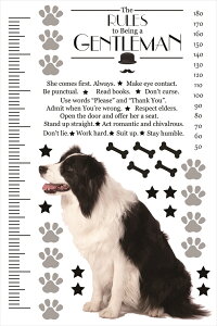 EH[XebJ[ gv LO ڐ {[_[R[   k 90×60cm V[   ǎ ͂  JbeBOV[g wall sticker G DIY v`tH[