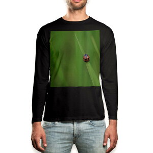 O tVc Y  ubN fUC XS S M L XL 2XL T eB[Vc  black T shirt long sleeve 003604 ĂƂ@ʐ^