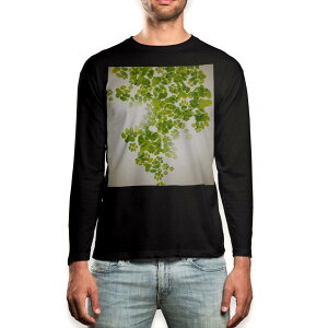 O tVc Y  ubN fUC XS S M L XL 2XL T eB[Vc  black T shirt long sleeve 008124 @Ձ@΁@O[