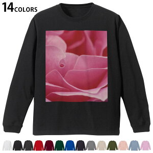 Iׂ14J[ utTVc Y fB[X jZbNX unisex  fUC XS S M L XL 2XL TVc O eB[Vc T shirt 023681 Ԃт@t[