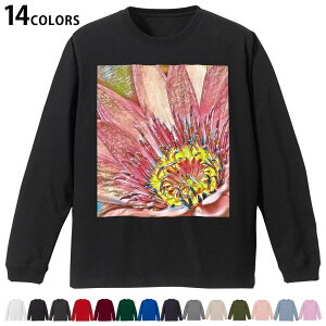 Iׂ14J[ utTVc Y fB[X jZbNX unisex  fUC XS S M L XL 2XL TVc O eB[Vc T shirt 023683 ԁ@t[