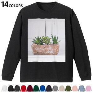 Iׂ14J[ utTVc Y fB[X jZbNX unisex  fUC XS S M L XL 2XL TVc O eB[Vc T shirt 023734 A@Aؔ@ʐ^