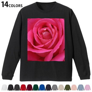 Iׂ14J[ utTVc Y fB[X jZbNX unisex  fUC XS S M L XL 2XL TVc O eB[Vc T shirt 023738 ԁ@t[@o