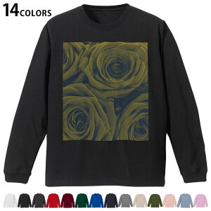 Iׂ14J[ utTVc Y fB[X jZbNX unisex  fUC XS S M L XL 2XL TVc O eB[Vc T shirt 023752 ԁ@t[@o