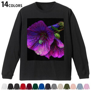 Iׂ14J[ utTVc Y fB[X jZbNX unisex  fUC XS S M L XL 2XL TVc O eB[Vc T shirt 023878 ԁ@t[@