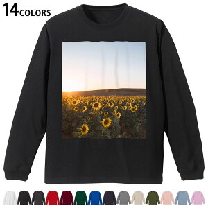 Iׂ14J[ utTVc Y fB[X jZbNX unisex  fUC XS S M L XL 2XL TVc O eB[Vc T shirt 035650  summer Ђ܂ t[