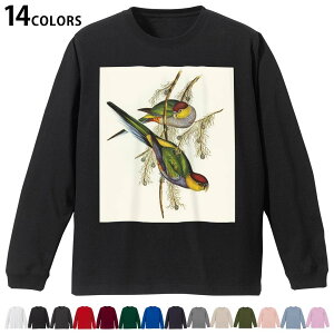 Iׂ14J[ utTVc Y fB[X jZbNX unisex  fUC XS S M L XL 2XL TVc O eB[Vc T shirt 036026  G Jt