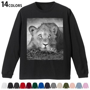 Iׂ14J[ utTVc Y fB[X jZbNX unisex  fUC XS S M L XL 2XL TVc O eB[Vc T shirt 007626 ʐ^@mN@CI