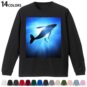 Iׂ14J[ utTVc Y fB[X jZbNX unisex  fUC XS S M L XL 2XL TVc O eB[Vc T shirt 012663 NW@VGbg@_CrO