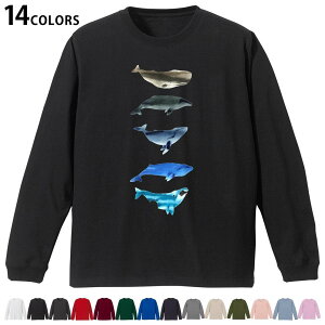 Iׂ14J[ utTVc Y fB[X jZbNX unisex  fUC XS S M L XL 2XL TVc O eB[Vc T shirt 015831 @C@@V`