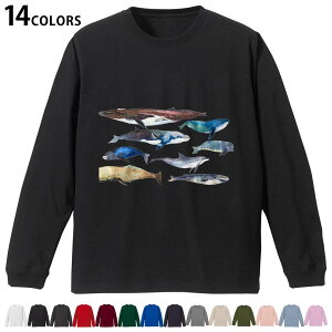 Iׂ14J[ utTVc Y fB[X jZbNX unisex  fUC XS S M L XL 2XL TVc O eB[Vc T shirt 015836 @C@@V`