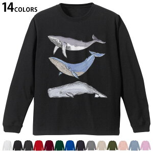 Iׂ14J[ utTVc Y fB[X jZbNX unisex  fUC XS S M L XL 2XL TVc O eB[Vc T shirt 015851 @@C