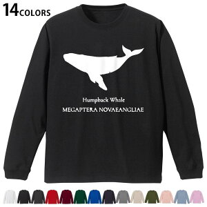 Iׂ14J[ utTVc Y fB[X jZbNX unisex  fUC XS S M L XL 2XL TVc O eB[Vc T shirt 019740 C̐ UgENW Humpback whale