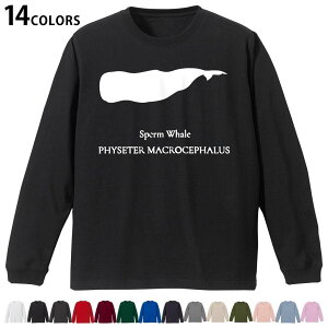 Iׂ14J[ utTVc Y fB[X jZbNX unisex  fUC XS S M L XL 2XL TVc O eB[Vc T shirt 019742 C̐ }bRENW sperm whale
