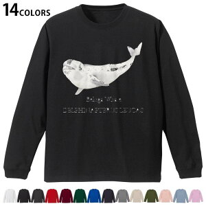 Iׂ14J[ utTVc Y fB[X jZbNX unisex  fUC XS S M L XL 2XL TVc O eB[Vc T shirt 019747 C̐ VCJ beluga whale
