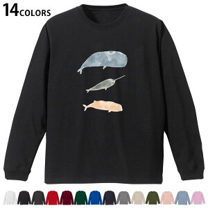 Iׂ14J[ utTVc Y fB[X jZbNX unisex  fUC XS S M L XL 2XL TVc O eB[Vc T shirt 019914  CbJN 邩