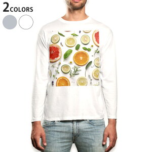 O tVc Y  zCg O[ fUC XS S M L XL 2XL TVc eB[Vc T shirt long sleeve 014840 ʕ@R@IW