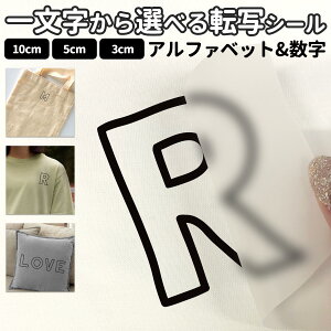 ꕶ̓]ʃV[ tHg STCY MTCY LTCY 3×3cm 5×5cm 10×10cmzp XebJ[ p 