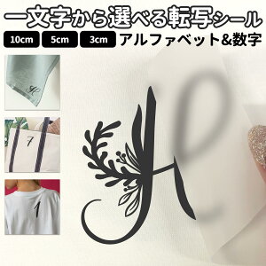 ꕶ̓]ʃV[ tHg STCY MTCY LTCY 3×3cm 5×5cm 10×10cmzp XebJ[ p  |Cg  t[