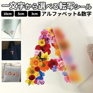 ꕶ̓]ʃV[ tHg STCY MTCY LTCY 3×3cm 5×5cm 10×10cmzp XebJ[ p  |Cg  t[