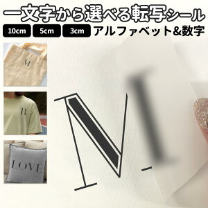 ꕶ̓]ʃV[ tHg STCY MTCY LTCY 3×3cm 5×5cm 10×10cmzp XebJ[ p  |Cg