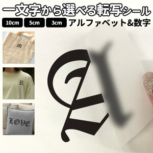 ꕶ̓]ʃV[ tHg STCY MTCY LTCY 3×3cm 5×5cm 10×10cmzp XebJ[ p 