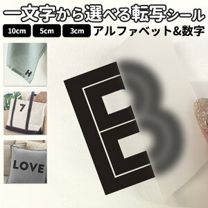 ꕶ̓]ʃV[ tHg STCY MTCY LTCY 3×3cm 5×5cm 10×10cmzp XebJ[ p 