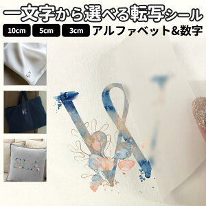 ꕶ̓]ʃV[ tHg STCY MTCY LTCY 3×3cm 5×5cm 10×10cmzp XebJ[ p  |Cg C sea 炰 C