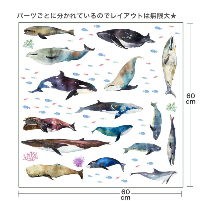 楽天市場 海の生物 シール式ウォールステッカー 魚 Fish Sea クジラ くじら イルカ いるか アクアリウム シャチ 飾り 60 60cm 剥がせる カッティングシート Wall Sticker 雑貨 Kabeコレ