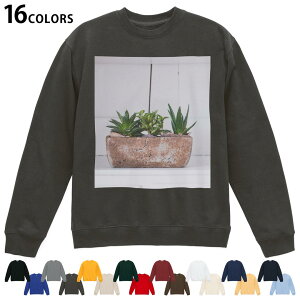 Iׂ16J[g[i[ Y fB[X jZbNX  fUC S M L XL 2XL sweatshirt@trainer XEFbg 023734 A@Aؔ@ʐ^