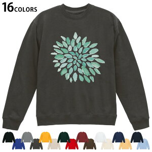 Iׂ16J[g[i[ Y fB[X jZbNX  fUC S M L XL 2XL sweatshirt@trainer XEFbg 019761  łグԉ firework