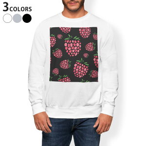 g[i[ Y  zCg O[ ubN fUC S M L XL 2XL sweatshirt@trainer@@@DF@XEFbg 011804 @|bv@ʕ