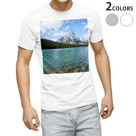 Tシャツ メンズ 半袖 ホワイト グレー デザイン S M L XL 2XL Tシャツ ティーシャツ T shirt 003291 外国　写真　景色　風景