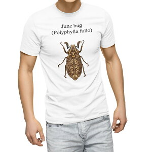 T�V���c �����Y ���� �z���C�g �O���[ �f�U�C�� S M L XL 2XL T�V���c �e�B�[�V���c T shirt 020014 �� polyphylla fullo �q�Q�R�K�l