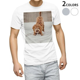 Tシャツ メンズ 半袖 ホワイト グレー デザイン S M L XL 2XL Tシャツ ティーシャツ T shirt 022864 犬　雪　写真