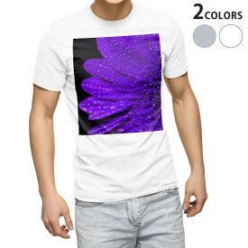 Tシャツ メンズ 半袖 ホワイト グレー デザイン S M L XL 2XL Tシャツ ティーシャツ T shirt 022903 花びら　水滴　写真