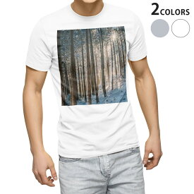 Tシャツ メンズ 半袖 ホワイト グレー デザイン S M L XL 2XL Tシャツ ティーシャツ T shirt 023493 景色　自然　写真