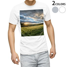 Tシャツ メンズ 半袖 ホワイト グレー デザイン S M L XL 2XL Tシャツ ティーシャツ T shirt 023861 景色　自然　写真