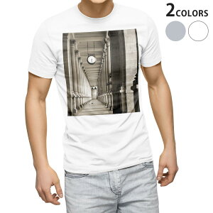 TVc Y  zCg O[ fUC S M L XL 2XL TVc eB[Vc T shirt 007546 ʐ^@mN@v@