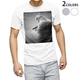Tシャツ メンズ 半袖 ホワイト グレー デザイン S M L XL 2XL Tシャツ ティーシャツ T shirt 007863 写真　モノクロ　ライオン