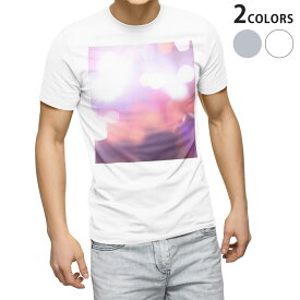 Tシャツ メンズ 半袖 ホワイト グレー デザイン S M L XL 2XL Tシャツ ティーシャツ T shirt 012776 光　キラキラ　写真