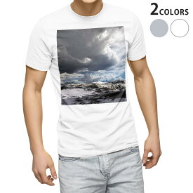 Tシャツ メンズ 半袖 ホワイト グレー デザイン S M L XL 2XL Tシャツ ティーシャツ T shirt 014982 自然　景色　風景　山　雪