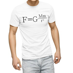 T�V���c �����Y ���� �z���C�g �O���[ �f�U�C�� S M L XL 2XL T�V���c �e�B�[�V���c T shirt 017713 ���L���̖͂@��