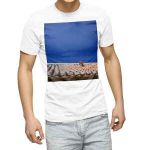 TVc Y  zCg n fUC M eB[Vc T shirt 002774 @V[T[@ʐ^