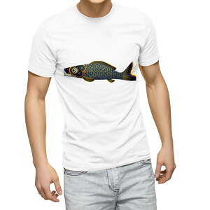 TVc Y  zCg n fUC M eB[Vc T shirt 013188 @@̂ڂ