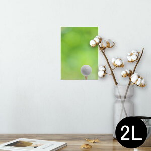 |X^[ EH[XebJ[ V[XebJ[  127×178mm 2L ʐ^ tHg  CeA  @ wall sticker poster 000218 St@Vbg@Ő