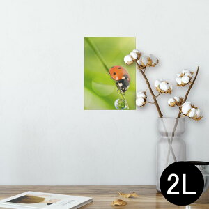 |X^[ EH[XebJ[ V[XebJ[  127×178mm 2L ʐ^ tHg  CeA  @ wall sticker poster 000820 ĂƂ@